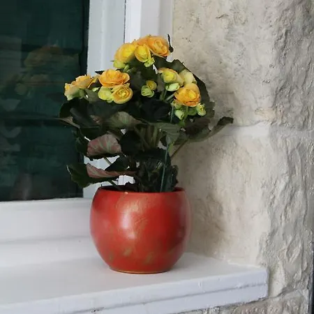 Appartement Spiro Split